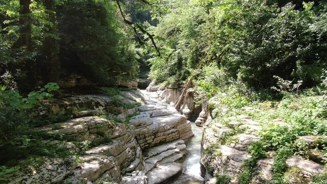 White Rock Canyon and the Khosta River flowing along white limestone cliffs through a lush green subtropical forest in Sochi, Russia.
