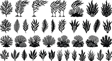 Seaweed coral and underwater plants silhouettes vector collection set © Shadhinara
