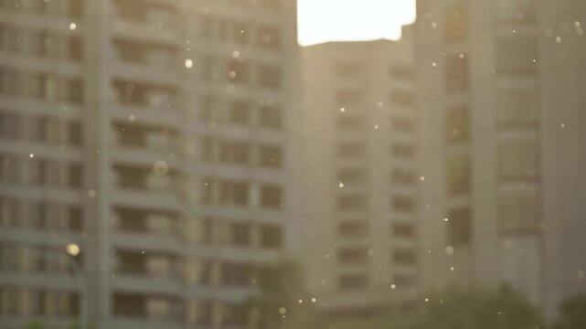 Tiny specks of poplar fluff float through the air against a backdrop of city buildings.