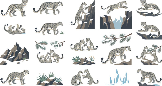 Detailed flat vector illustration set of snow leopards in mountain environments with winter plants and rocks
