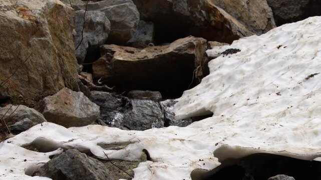 Melting Snow and Water Stream Flowing Over Rocks in Italian Alps