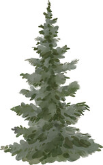 Obraz premium Watercolor Illustration of a Christmas tree