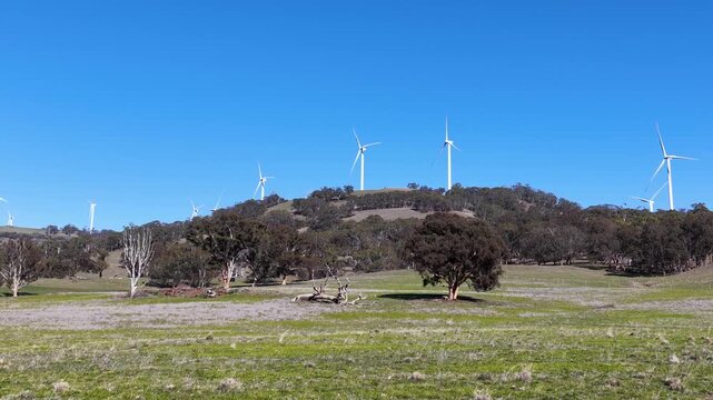 Wind Turbines on Grassy Hillside Under Clear Blue Sky