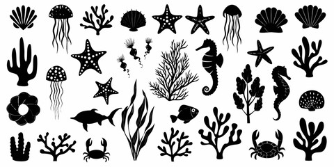 marine life silhouette collection on white background sea animals plants fish jellyfish starfish © John Lee