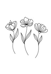 Obraz premium Whispers of Petals: A Minimalist Line Art Composition