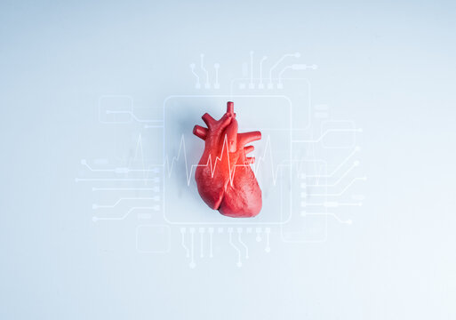 Artificial intelligence analyzing red human heart with digital interface and ECG waveform. AI healthcare, medical technology, cardiology, predictive medicine, digital health, and heart diagnosis.