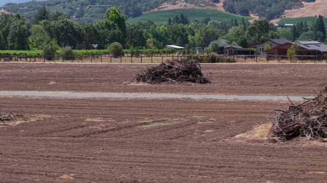Aerial view of clearing grape vines for burning in Sonoma and Napa as the wine market shrinks and vinteners struggle to sell their stock.