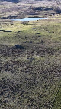 Aerial View of Rolling Green Hills and Small Pond in Uralla