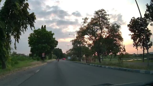 Scenic Front Dashcam Drive Along a Tree-Lined Road During Golden Hour in East Java