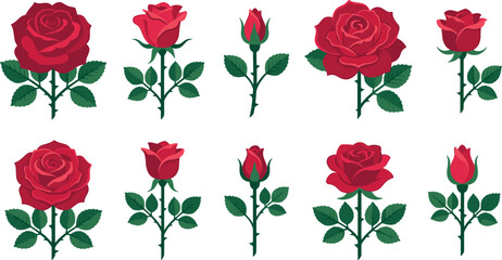 Red Rose Flower Botanical Vector Set Featuring Blooming Rose Heads, Closed Buds, Thorny Green Stems, and Symmetric Leaves for Valentine Designs © Lota