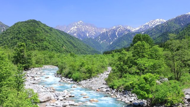伊折橋より新緑の剱岳と早月川