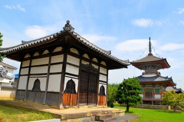 Fototapeta premium 酒見寺 観音堂・多宝塔