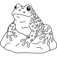 Fototapeta premium Front view frog on rock isolated in clean outline vector illustration.