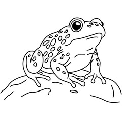 Naklejka premium Spotted frog on rock isolated in clean outline vector illustration style.