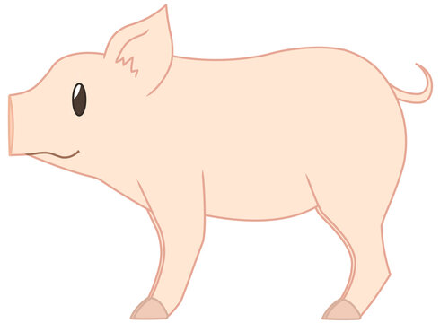 左を向いているブタ
