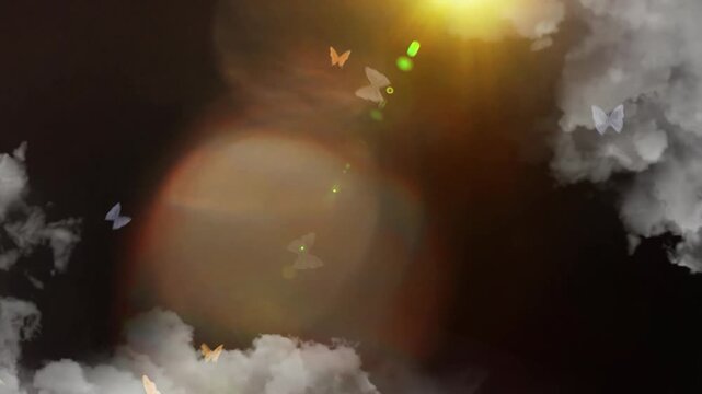 Butterflies fly through a soft cloud formation with golden light rays illuminating the dark night sky.