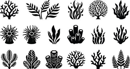 Underwater coral reef sea anemones and marine algae silhouette set © SHARMIN