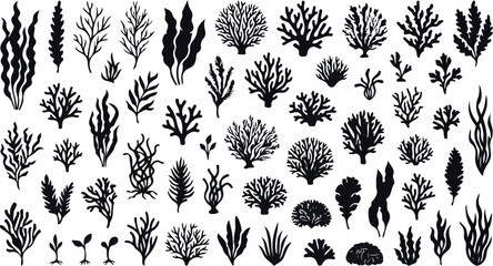 Mega set underwater coral reef seaweeds and marine plant silhouettes © SHARMIN