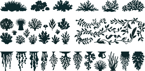 Mega collection underwater coral reef seaweed plants hanging vines silhouettes © SHARMIN