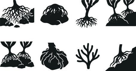 Seaweed holdfast roots anchored on rocks vector silhouette set © SHARMIN