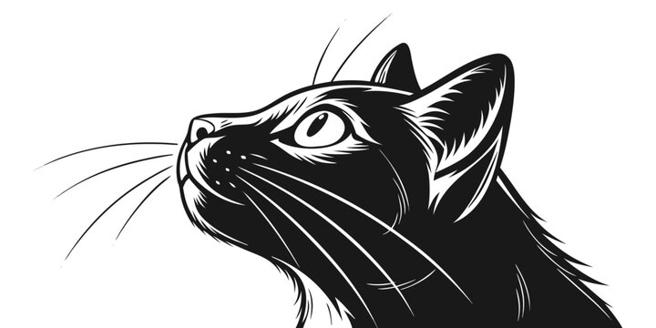 Black cat face silhouette, sharp isolated on white background, sharp whiskers pointed ears