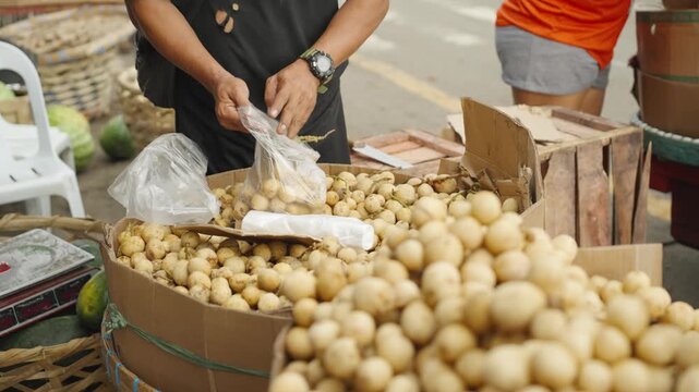 Vendor Picking and Weighing Langsat Fruit in Plastic Bag at Local Market
