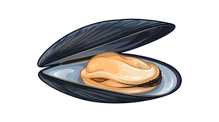 Open Mussel Shell with Meat on Black Background © Anjas