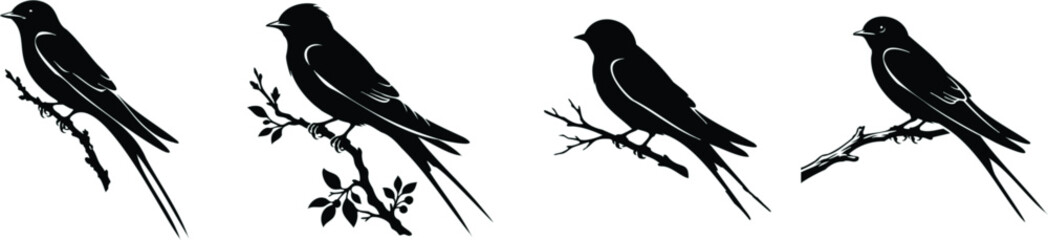 Fototapeta premium Detailed view of a barn swallow perched silhouette, vector isolated on white