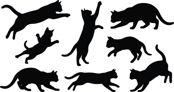 Set of active black cat silhouettes in various dynamic poses jumping running pouncing isolated vector illustration