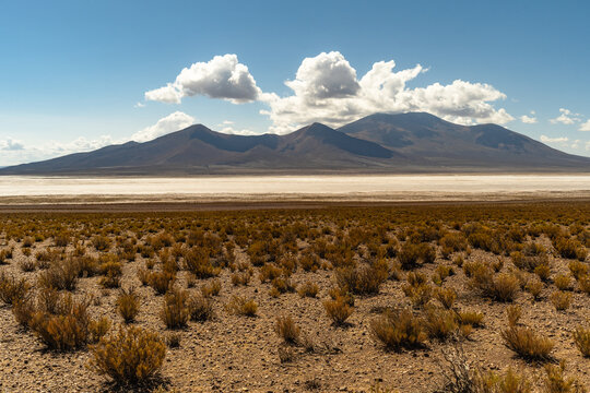 Uyuni - San Pedro de Atacama Bolivia.