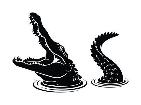 水から出てくるワニの黒と白のシルエット