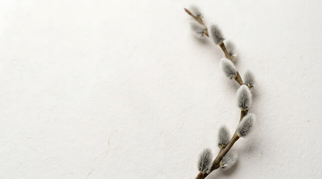Silver beaded bracelet with small charms