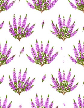 A seamless pattern of purple lilac flowers with green leaves on a white background
