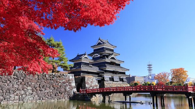 秋の松本城