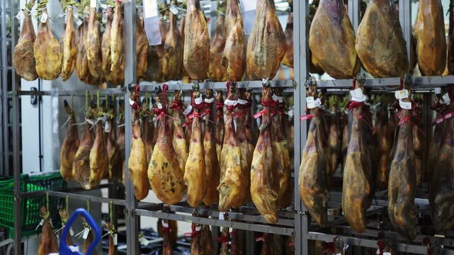  Hamon meat processing plant. Hanging meat in production hall. Arrival of jamon or cold cuts. Natural fresh meat product. Production of pork at enterprise.