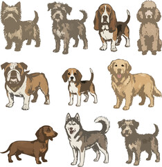 Obraz premium Collection of Cute Purebred Dogs and Puppies Isolated on White Background Studio Pet Animal Set with Different Breeds and Canine Portraits