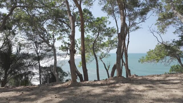 Young Asian Man Walking Toward Ocean View on Tropical Coastal Cliff in Kebumen Indonesia