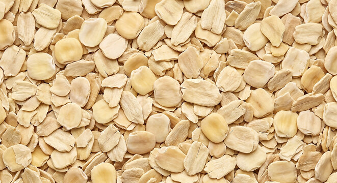 Full frame macro texture of naturally dried raw lupin flakes