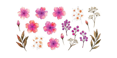 Set of beautiful hand drawn pink flowers and botanical leaves with berries for floral design © md