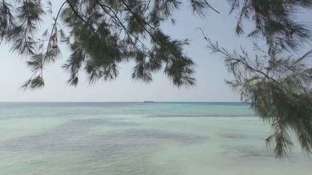 Tropical Ocean View Framed by Coastal Trees at Bobby Beach Karimunjawa Indonesia