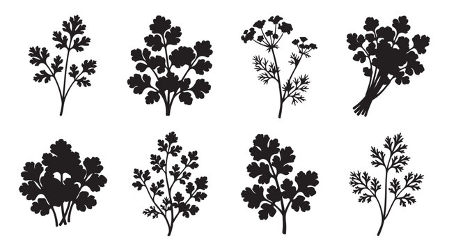 Set of black silhouette icons representing various fresh green herbs and garden plants