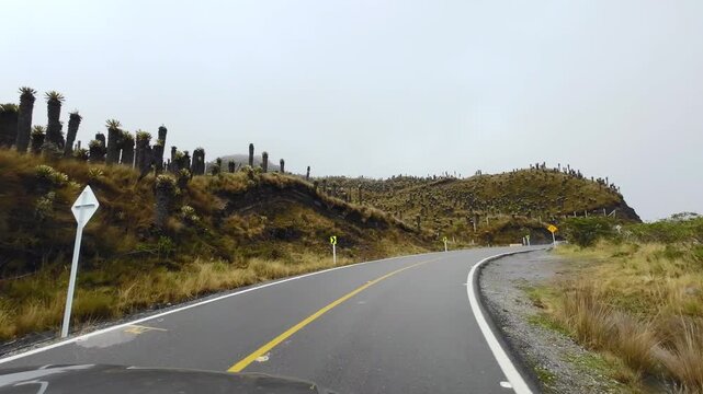 A vehicle POV travels along the paved Murillo&ndash;Manizales road, with fog, a mountain slope, and roadside frailejones filling the view.