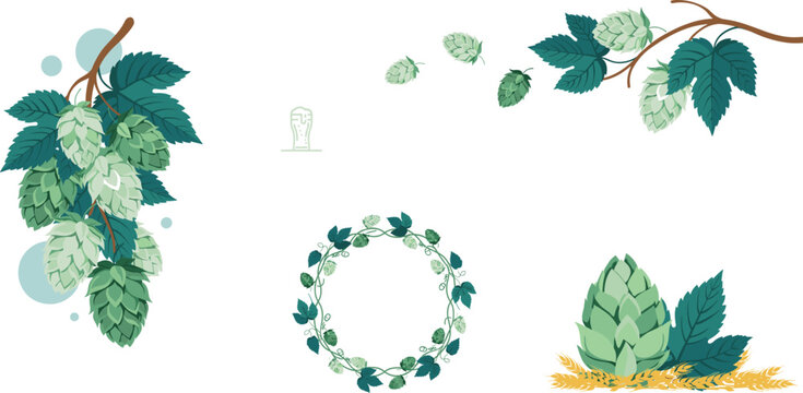 Green Hops Branch and Humulus Lupulus Wreath Vector Set for Craft Beer Brewing, Brewery Pub Logos, and Oktoberfest Graphic Designs