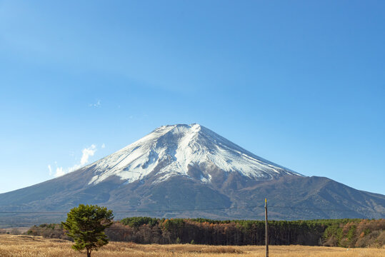 Mount Fuji, the iconic symbol of Japan, during the season of autumn foliage, a period of exceptional beauty.kawaguchiko,japan.