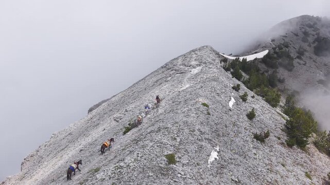 Aerial View of Pack Mules Ascending Rocky Ridge on Mount Olympus in Heavy Fog