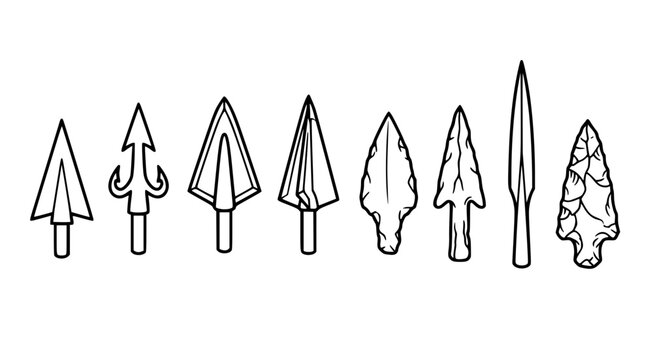 Detailed assortment of various arrowheads and spear tips for hunting and historical reenactment