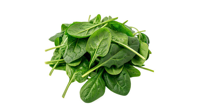 Bunch of fresh raw vibrant green spinach leaves heap vegetable ingredient isolated on transparent background