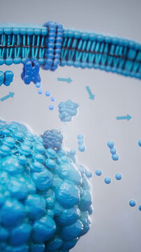 Conceptual 3D illustration of adrenaline triggering lipolysis inside a fat cell