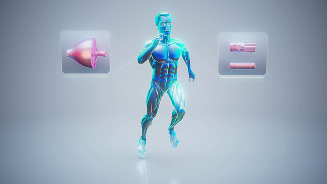 Conceptual 3D illustration of an anatomical muscle man