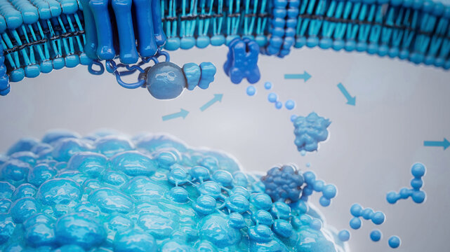Conceptual 3D illustration of adrenaline triggering lipolysis inside a fat cell